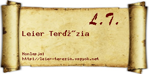 Leier Terézia névjegykártya